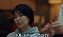 日剧脆弱在线观看,揭秘日剧中的情感纠葛与心灵疗愈之旅