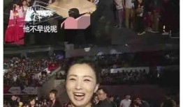 娱乐圈爆料是掩盖什么的,揭开真相背后的掩盖面纱