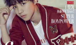 王俊凯新杂志爆料视频,揭秘偶像背后的故事与成长