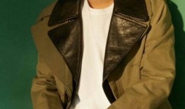 王照宇爆料文韬视频大全,文韬视频大全背后的故事与真相