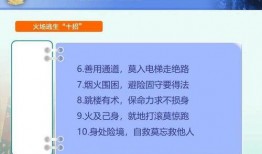 怎样网络视频爆料,揭开事件真相的幕后力量