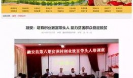 左江日报新闻爆料,揭开神秘事件背后真相