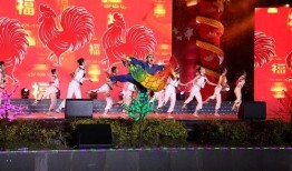 德庆最新爆料新闻视频,视频揭露惊人内幕，真相令人震惊！