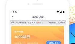 坏坏猫官网最新版本爆料,功能升级与亮点前瞻