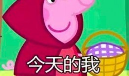 小猪先生八点爆料视频大全,揭秘热门视频背后的故事