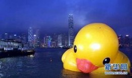 重庆小黄鸭最新爆料新闻,独家爆料揭秘幕后故事