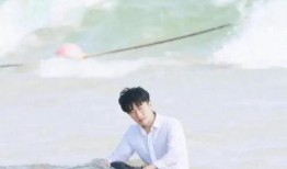 娱乐圈吃瓜动态视频,揭秘最新吃瓜动态视频背后的故事