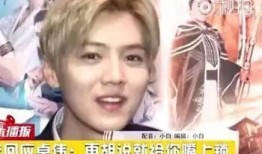 云鹿网友爆料事件视频,揭秘事件背后真相