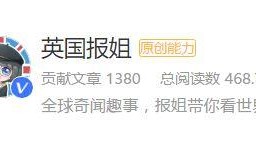 九槑娱乐爆料百家号,百家号背后的精彩故事