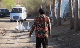 河源市新房爆料事件视频,视频揭露惊人内幕，业主权益如何保障？