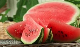 吃瓜结缘免费阅读,一场意外邂逅的甜蜜奇遇