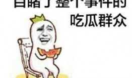 老板疯了免费吃瓜图,免费吃瓜盛宴来袭！