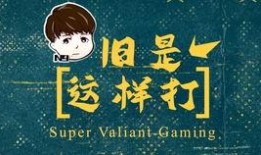 胖哥爆料视频在线观看,揭秘幕后真相，带你领略网络世界风云变幻