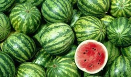 qq群吃的网红瓜,一场美食与八卦的狂欢盛宴