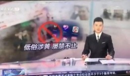 阿厦团队爆料视频播放时间,揭秘精彩瞬间，时长曝光！