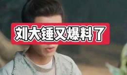 刘大锤最新爆料推测