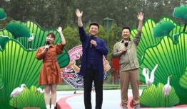 鹏程哥哥最新爆料视频,揭秘幕后真相，带你走进事件核心