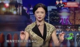 金星爆料酒店视频播放,揭秘娱乐圈不为人知的真相