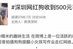 网红糯米爆料视频