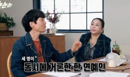 韩国娱乐圈内部爆料,揭秘明星背后的真相与争议