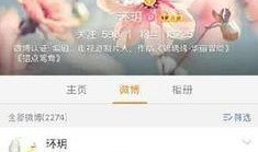 娱乐圈爆料乔任梁是谁,揭秘乔任梁的真实身份与离世之谜