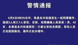 昭通爆料最新消息,最新消息揭示惊人真相！
