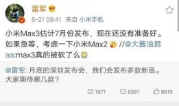 雷总的最新爆料,揭秘小米未来科技布局与战略新动向！”