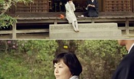 日剧脆弱在线观看,揭秘日剧中的情感纠葛与心灵疗愈之旅