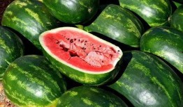 网红吃瓜视频素材,揭秘娱乐圈幕后真相