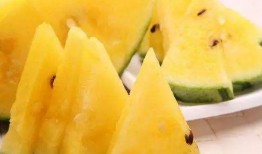 吃瓜黑料免费吃瓜第一页,免费畅享第一页精彩内容