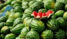 九头身网红吃瓜,揭秘娱乐圈幕后真相