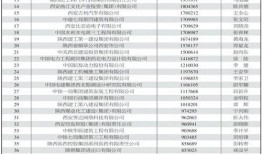 西安爆料企业排名最新,揭秘行业风云榜