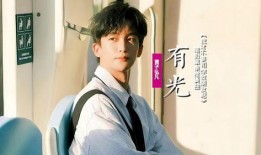 王照宇爆料文韬视频大全,文韬视频大全背后的故事与真相