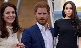 哈里王子最新爆料,揭秘权力斗争与真实情感