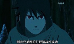 在哪看佐助爆料视频,揭秘忍者世界的秘密与真相