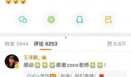 中国好声音爆料事件视频,幕后真相与争议瞬间