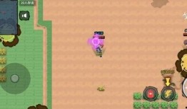 吃鸡宠物爆料大全下载最新,揭秘最新宠物玩法与养成攻略