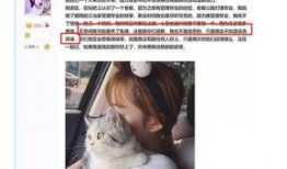 吃瓜结缘免费阅读,一场意外邂逅的甜蜜奇遇