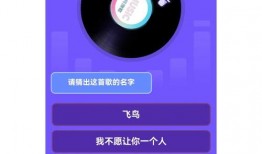 小程序爆料视频歌曲,旋律动人，瞬间点燃你的耳朵