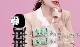 金莎爆料许嵩是真的吗视频,视频爆料背后的真实情况