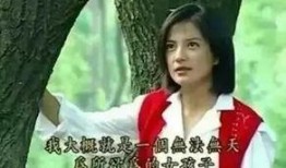 陈灵钧前女友爆料视频,揭秘背后惊人真相