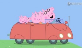 小猪先生八点爆料视频大全,揭秘热门视频背后的故事