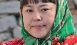 李菁菁网红爆料视频播放,揭秘背后真相