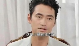 窦骁何超莲最新爆料视频,最新爆料视频曝光恋情细节