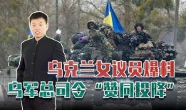 乌军总司令爆料视频播放,揭秘战事背后真相