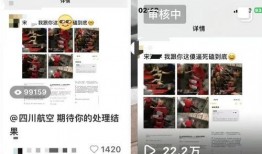 网友爆料素材视频,惊现神秘视频，揭秘事件背后惊人真相！