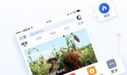 极光新闻小鱼爆料,揭秘极光新闻背后故事