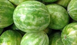 qq群吃的网红瓜,一场美食与八卦的狂欢盛宴