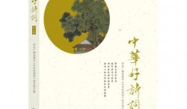 中华好诗词在线观看,领略千年文化魅力