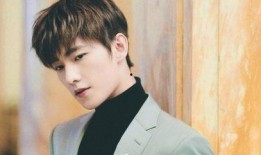 杨洋迪丽热巴最新爆料2024,揭秘明星幕后故事与精彩瞬间